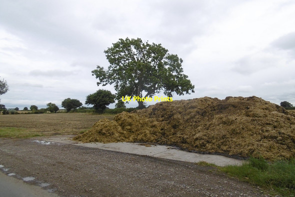 Photo 6"x4" Muck pile, Beningbrough Lane Beningbrough c2016