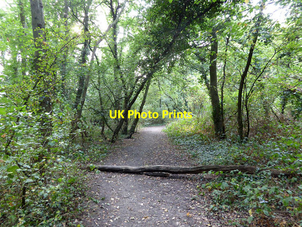 Photo 6"x4" Bridleway, Great Chattenden Wood Mockbeggar\/TQ7372 c2016