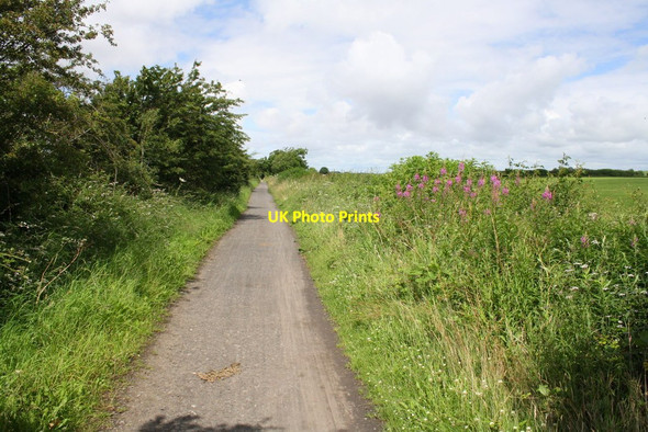 Photo 6"x4" Cycle path SW of Aldcliffe Lancaster c2016
