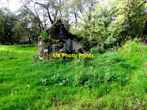 Photo 6"x4" Ruined dwelling, Tamlaght Omagh c2016