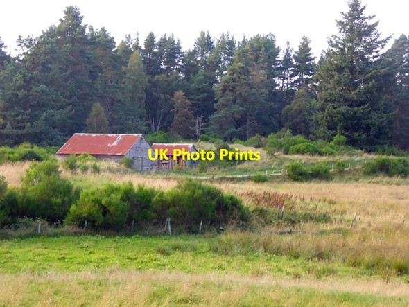 Photo 6"x4" Sheds at Moss-side Ferness c2016