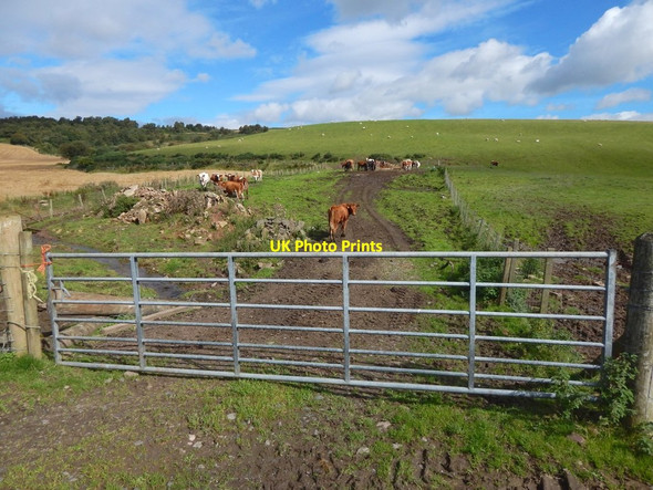 Photo 6"x4" View from the Kipperoch Road Ardoch\/NS3676 c2016