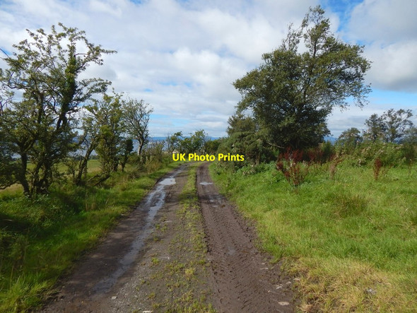 Photo 6"x4" Path between Kipperoch and Walton Ardoch\/NS3676 c2016