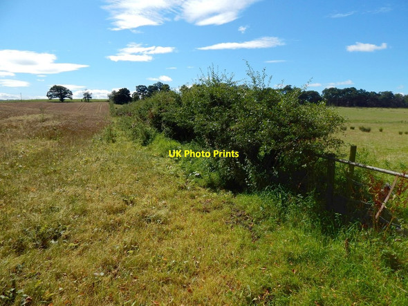 Photo 6"x4" Field boundary Kelhurn c2016
