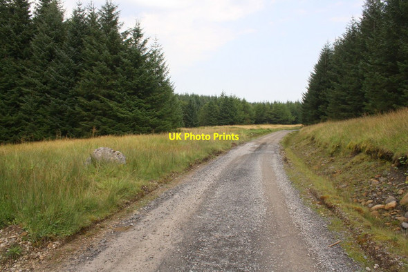 Photo 6"x4" Forestry road at Green Haw Moor Old Ing Moor c2016