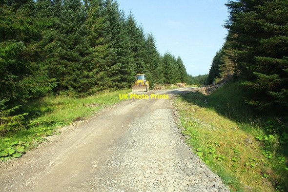 Photo 6"x4" Forestry road at Green Haw Moor Cow Pasture\/SD8279 c2016