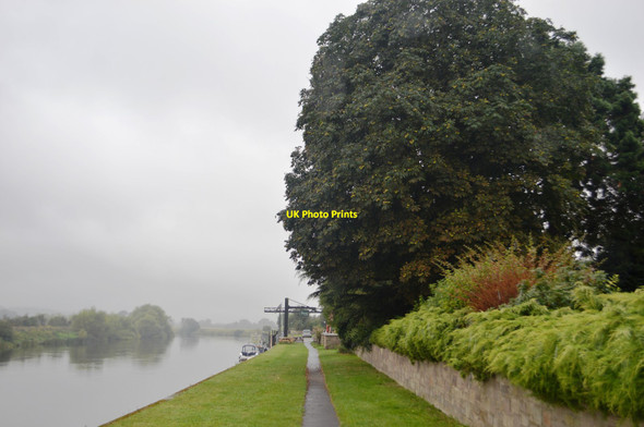 Photo 6"x4" Horse chestnut beside the River Trent Fiskerton\/SK7351 c2016