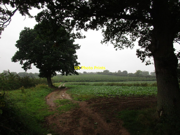 Photo 6"x4" Catley Southfields in the rain Catley Southfield c2016