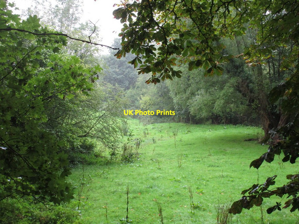 Photo 6"x4" Meadow by the River Leadon Evesbatch c2016