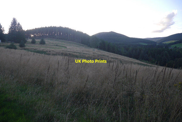 Photo 6"x4" Knocklea Wood Roughpark c2016