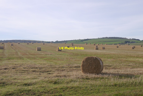 Photo 6"x4" Round bales by Meikle Endovie Alford\/NJ5716 c2016