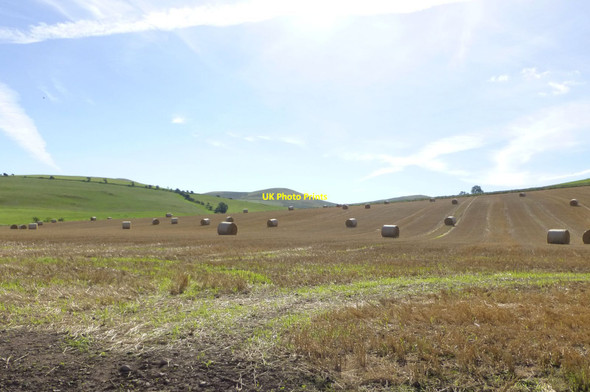 Photo 6"x4" Stubble and round bales of straw Downham\/NT8633 c2016