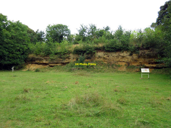 Photo 6"x4" The quarry edge in Dry Sandford Pit Cothill\/SU4699 c2016