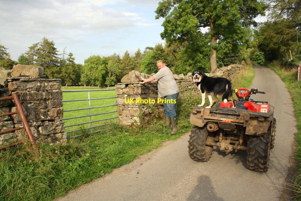 Photo 6"x4" One man and his dog near Low Houses Low Row\/SD9897 c2016