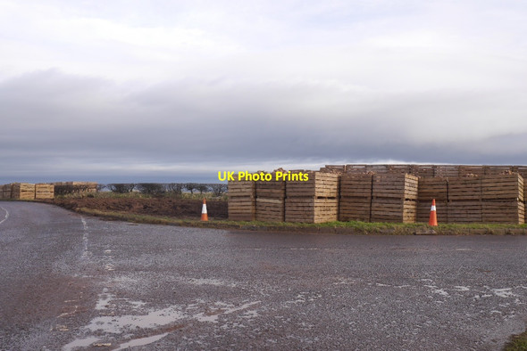 Photo 6"x4" Potato pallets, Thurston Innerwick\/NT7274 c2016