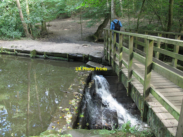 Photo 6"x4" Footbridge over mill dam on the Meanwood Beck Adel c2016