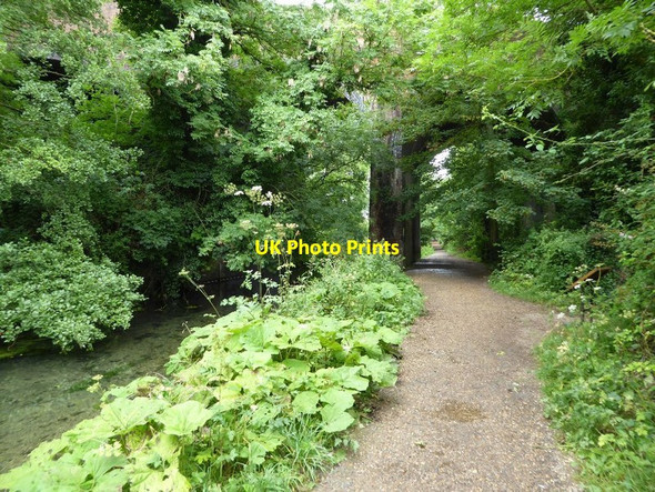 Photo 6"x4" Railway viaduct crossing the River Loddon Old Basing c2016