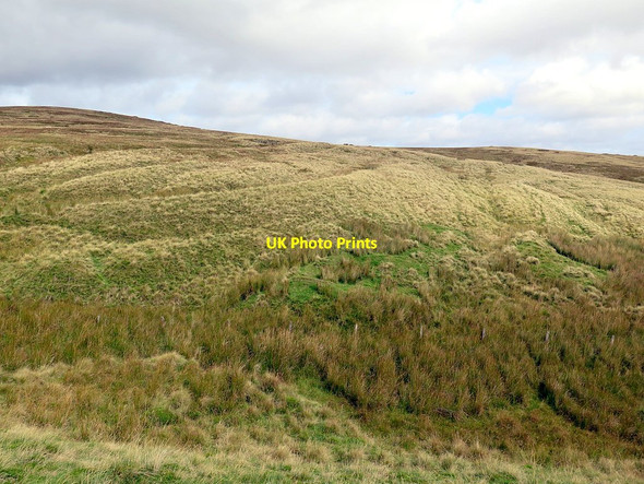 Photo 6"x4" Chew Sike near Pennine Way footbridge Upper Hindhope c2016