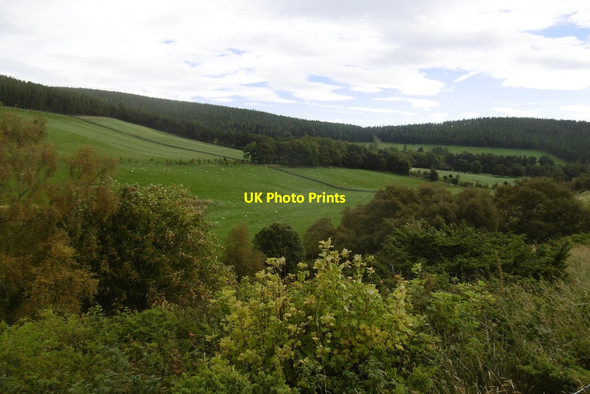 Photo 6"x4" Fields, Edinglassie Roughpark c2016