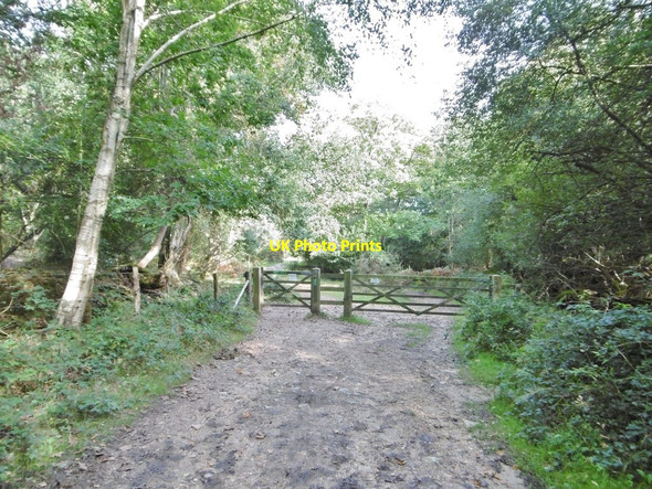 Photo 6"x4" Studland, gates Studland c2016