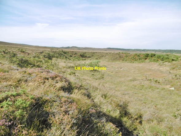 Photo 6"x4" Godlingston Heath, disused pit Studland c2016