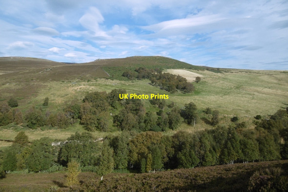 Photo 6"x4" Glen Ernan Roughpark c2016