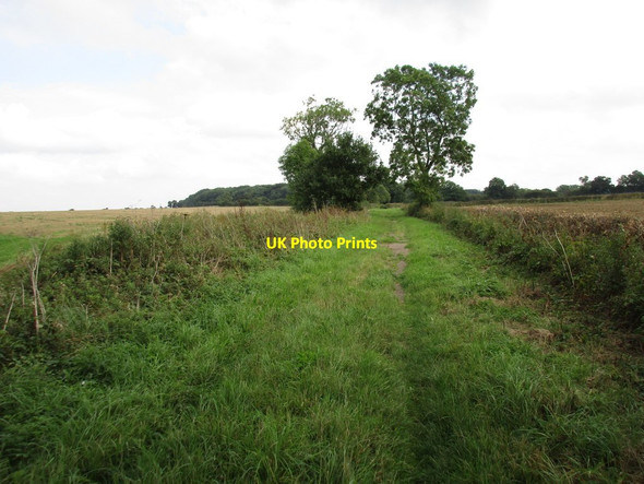 Photo 6"x4" Restricted Byway near Irnham Corby Glen c2016