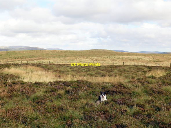 Photo 6"x4" Location of Roman Signal Station, Brownhart Law Upper Hindhope c2016