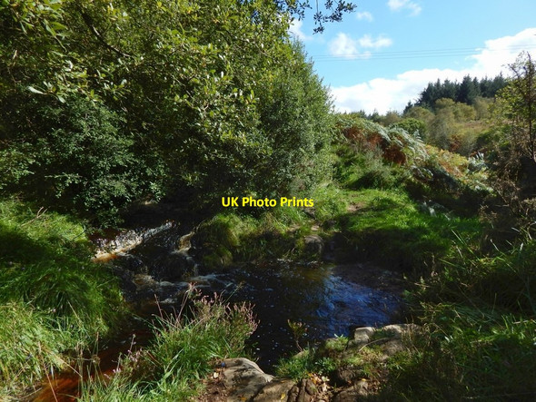 Photo 6"x4" Path crossing burn Alexandria c2016