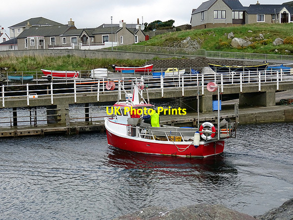 Photo 6"x4" Landing the catch at Hamnavoe Hamnavoe\/HU3735 c2016