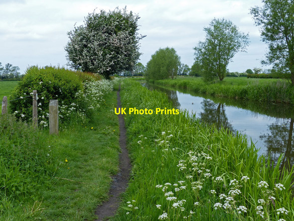 Photo 6"x4" Chesterfield Canal towards Clarborough Retford c2016