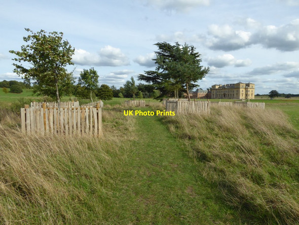 Photo 6"x4" Young trees beside Croome River Dunstall Common c2016
