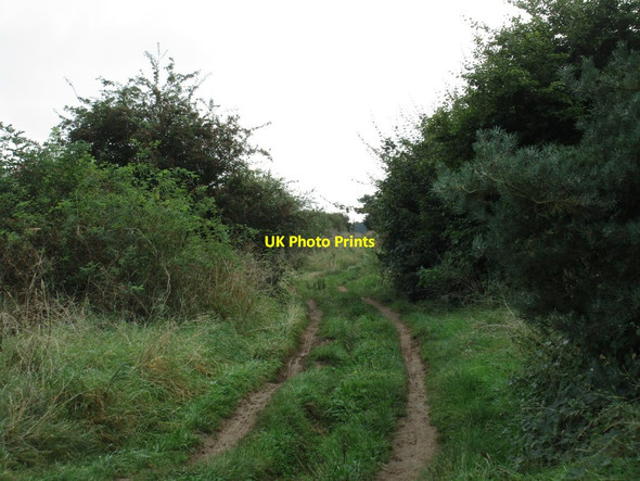 Photo 6"x4" High Dyke Wellingore c2016
