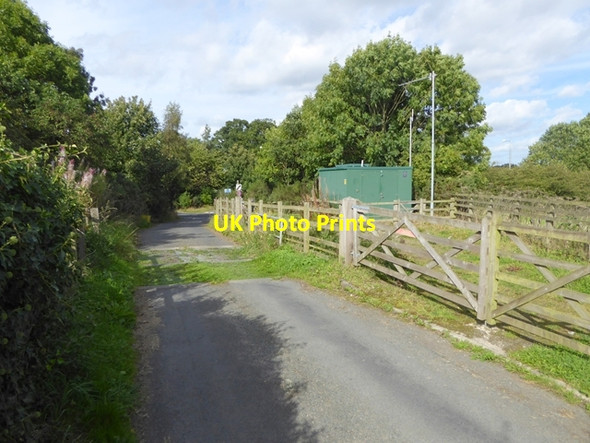 Photo 6"x4" Cattle grid on Kyo Bog Lane Coalburns c2016