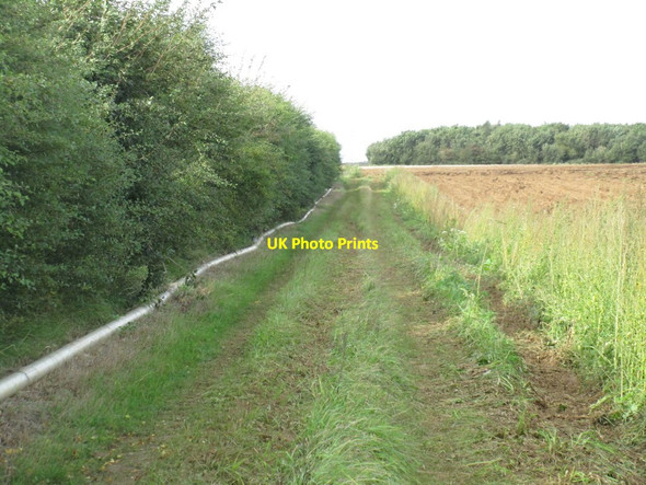 Photo 6"x4" Farm track and Fox Covert, Nocton Heath Branston\/TF0267 c2016