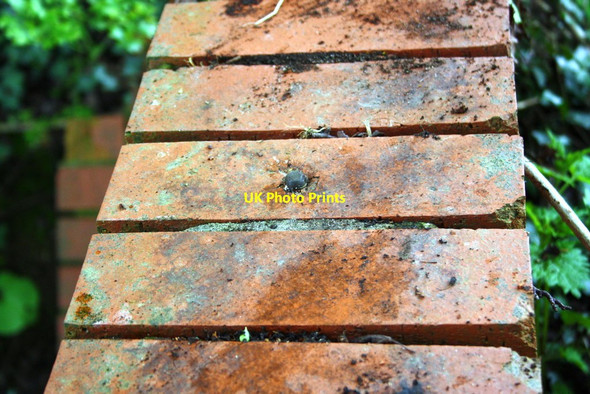 Photo 6"x4" Benchmark on culvert on SE side of A606 Oakham\/SK8509 c2016