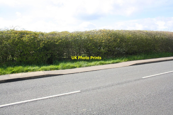 Photo 6"x4" Site of former entrance to buildings in field behind hedge beside Ashwell Road Oakham\/SK8509 c2016