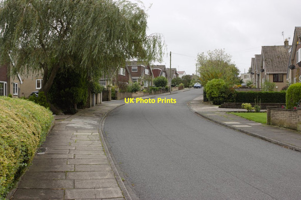 Photo 6"x4" Silver Birch Avenue, Wyke Wyke\/SE1526 c2016