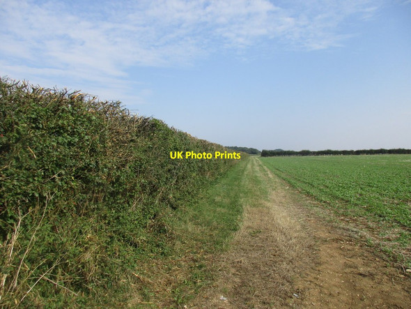 Photo 6"x4" Bridleway to the Drift Saltby c2016