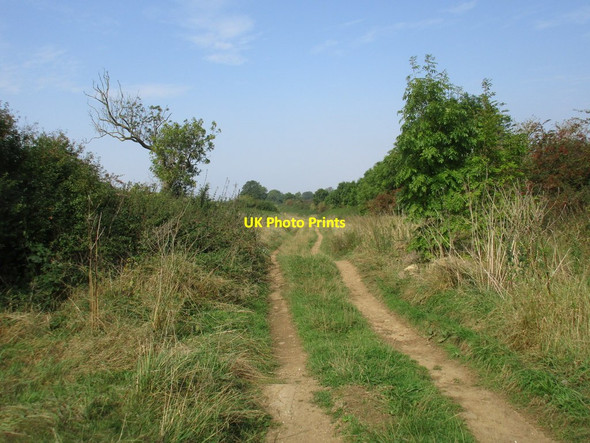 Photo 6"x4" The Drift north of Sproxton Road Skillington c2016