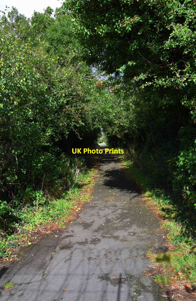 Photo 6"x4" Footpath to The Crescent, Carterton, Oxon Carterton\/SP2806 c2016