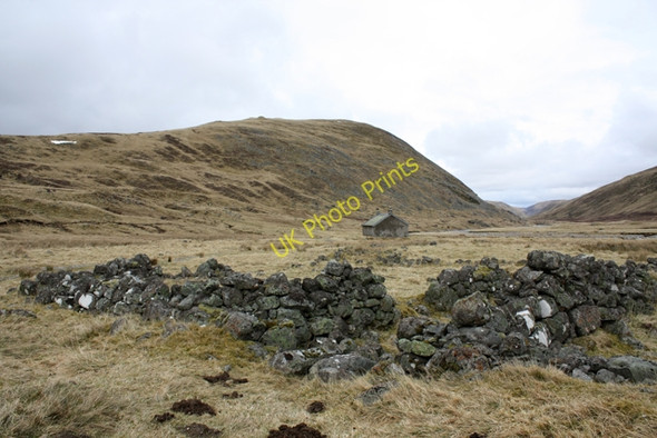 Photo 6"x4" Ruined sheep fank, Dalbeg Dalbeg c2009