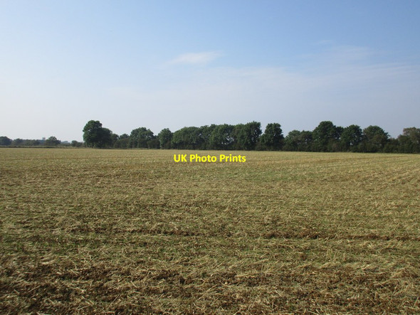 Photo 6"x4" Stubble field and line of trees near Saltby Saltby c2016
