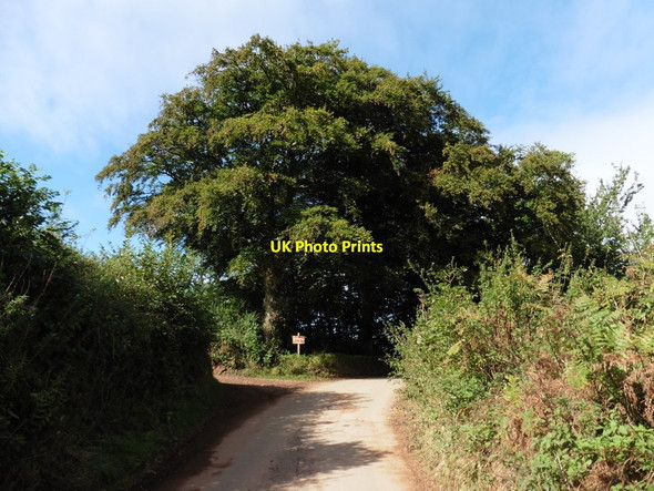 Photo 6"x4" Sharp bend on Beacon Lane St George's Well\/ST0208 c2016