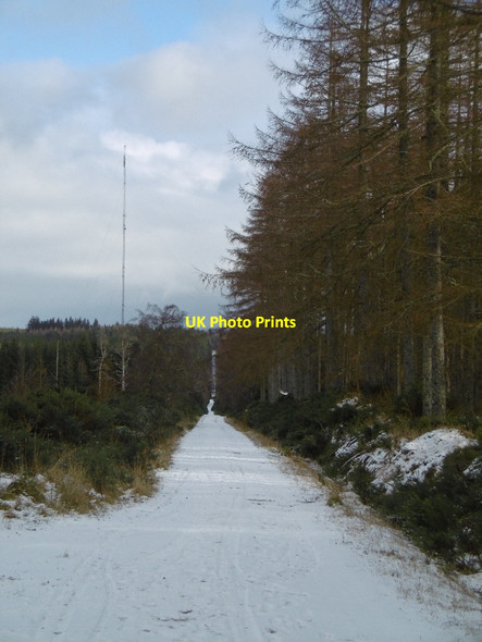 Photo 6"x4" Long straight road, Millbuie Braefindon c2016