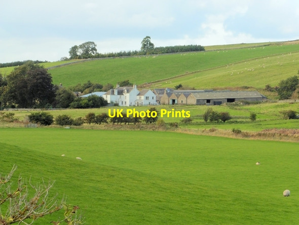 Photo 6"x4" Linton Burnfoot Farm Morebattle c2016