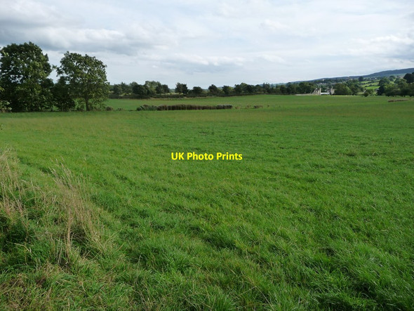 Photo 6"x4" Trees and hedge along a field boundary Harmby c2016