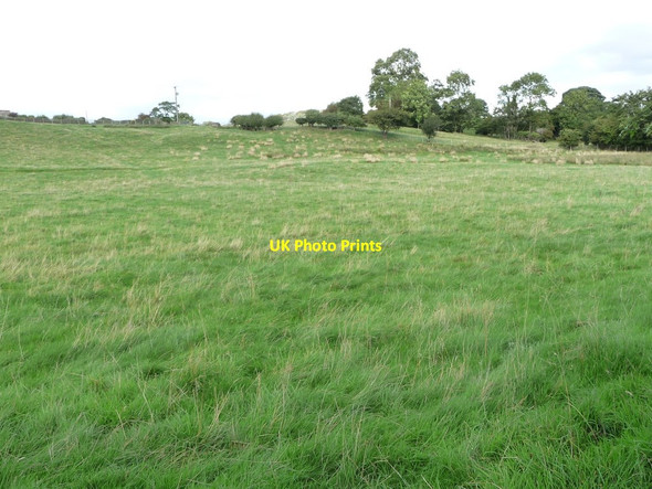 Photo 6"x4" Grassy hillside at Howe Hills Harmby c2016