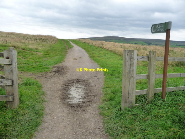 Photo 6"x4" Public bridleway, Middleham Low Moor Agglethorpe c2016