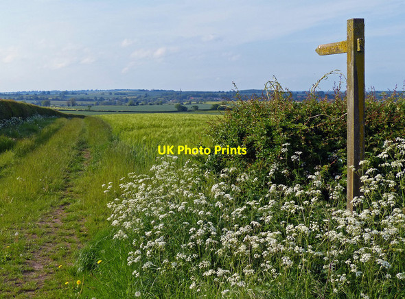 Photo 6"x4" Public footpath across farmland at Maumhill Clarborough c2016
